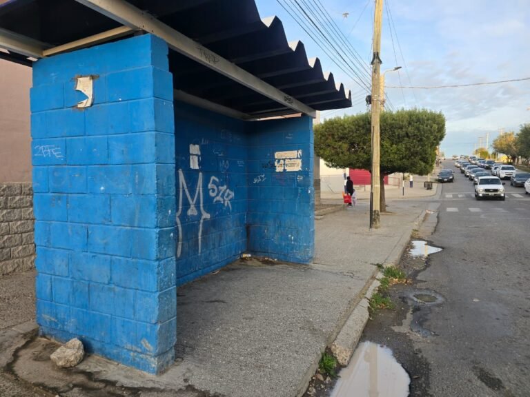 Viernes sin transporte público: paro total de Patagonia Argentina, Expreso Rada Tilly y Diadema
