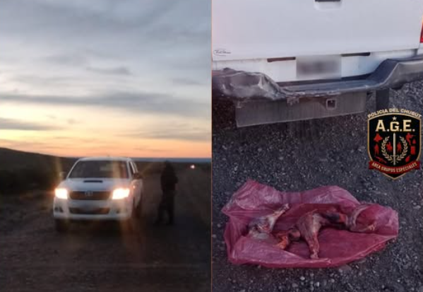 Cazaron un ñandú y los descubrieron en un control sobre la ruta