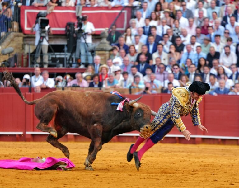 Un famoso torero español fue corneado y está muy grave: la herida es de 10 centímetros