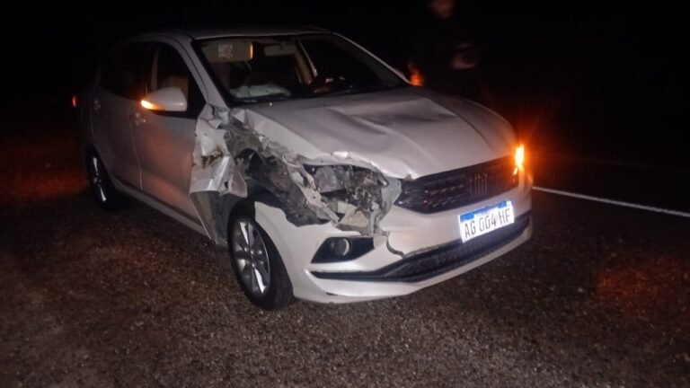 Ruta 3: chocaron contra un guanaco y asistieron de urgencia a un bebé de 20 días