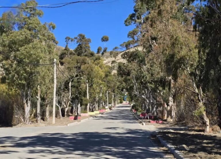 Este domingo realizarán un Mate Bingo a beneficio de comedores y organizaciones sociales