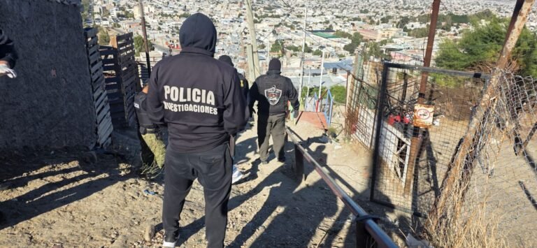 Tres delitos en 48 horas: el sospechoso cayó tras asaltar dos comercios y atacar a la policía