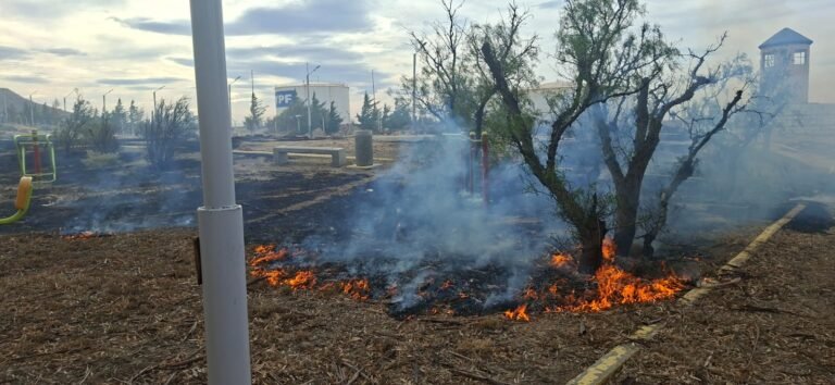 Controlan incendio de pastizales en el Chalet Huergo, cerca de los tanques de YPF