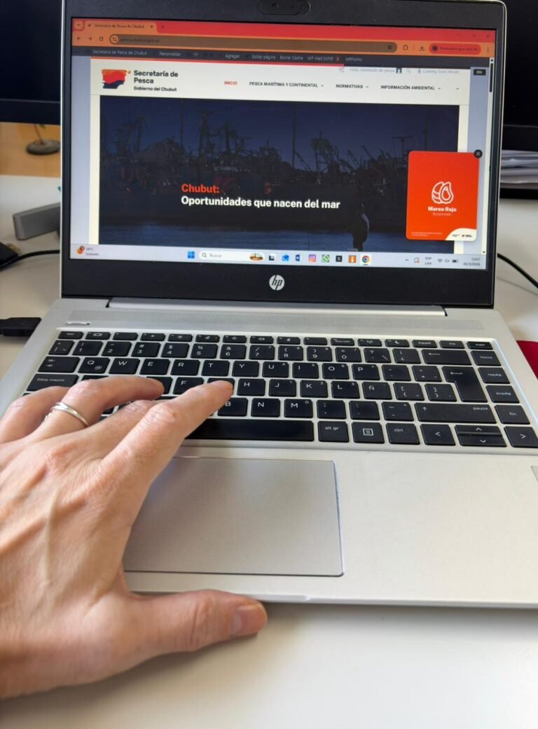 Chubut lanza un sitio web con datos abiertos sobre la actividad pesquera