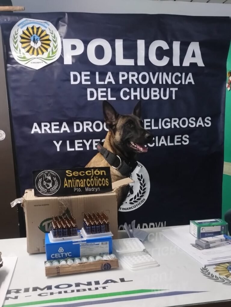 Con ayuda del can “Tussi”, frustraron el ingreso de drogas peligrosas a la provincia