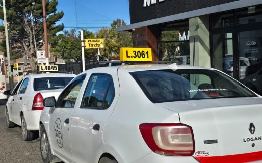 Más de 300 familias en alerta: taxistas declaran el estado de crisis