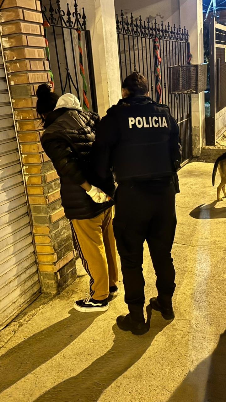 Detuvieron a una mujer por robar bolsas de papas: su cómplice logró escapar