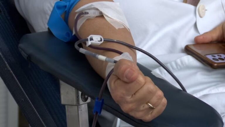 Doná vida en vida: convocan a donantes de médula ósea