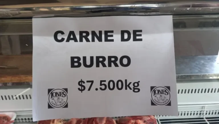 Furor por la carne de burro: se realizará la primera degustación en el país