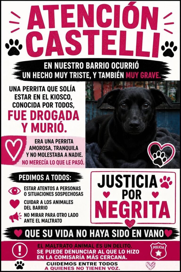 Horror en barrio Castelli: denuncian que una perra fue drogada y murió