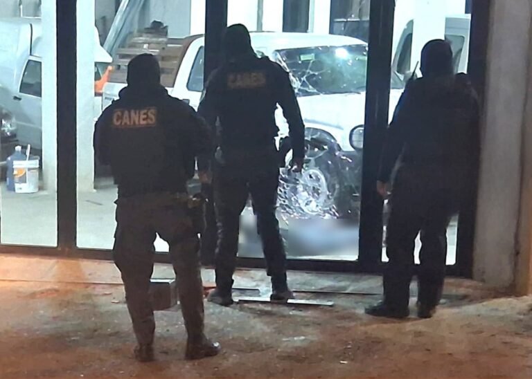 Un menor de 16 años fue detenido tras robar en un concesionario
