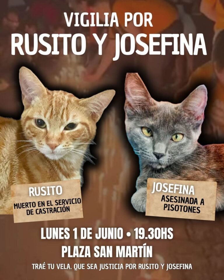 Justicia por Josefina y Rusito: convocan a una marcha de antorchas contra el maltrato animal