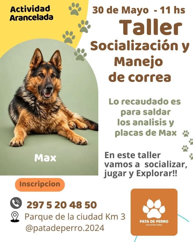 Comodoro sede de un taller de manejo de correa y socialización canina a beneficio de Max