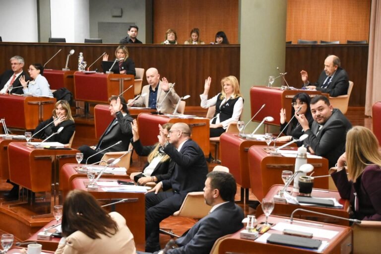 La Legislatura aprobó por amplia mayoría la adhesión de Chubut a la Ley Antimafias