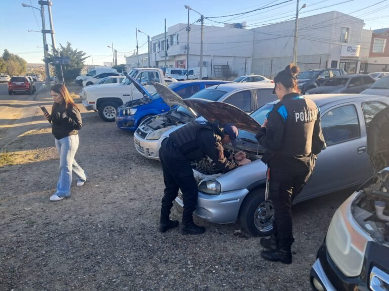 Controlan agencias de automotores con un saldo de 20 infracciones