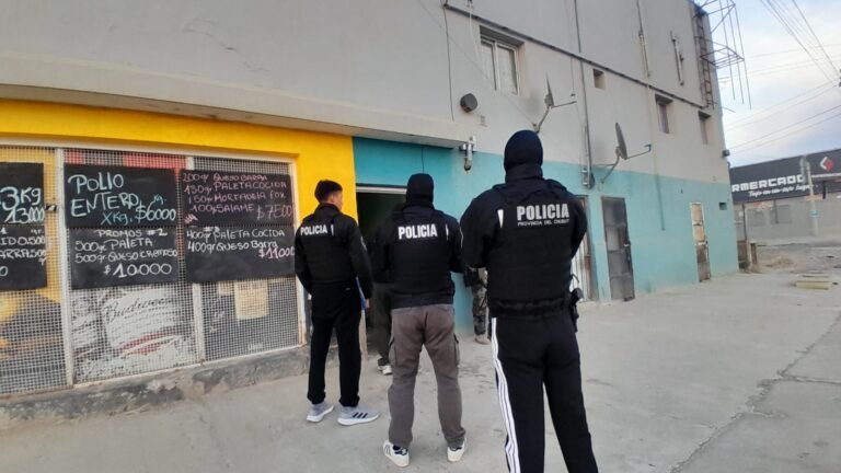Golpe a la delincuencia: Múltiples allanamientos tras una ola de robos en viviendas