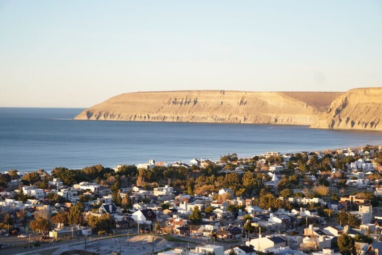 El Municipio de Rada Tilly relocalizará a caballos sueltos