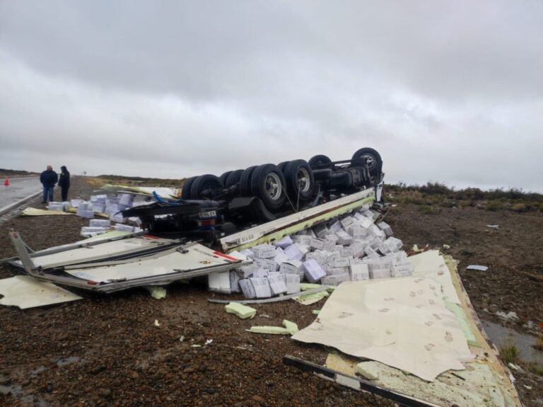 Volcó un camión pesquero con casi 10 toneladas de langostino en Ruta 3