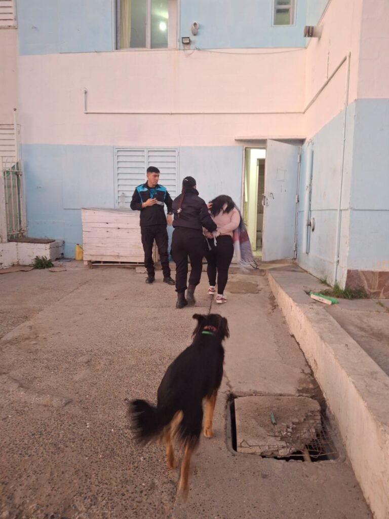 Atacó a una mujer, provocó destrozos a piedrazos y terminó presa