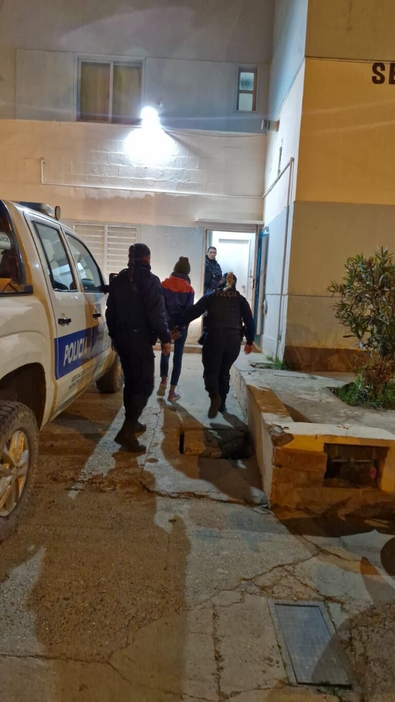 Intentó robar en una ferretería y fue sorprendida por la Policía
