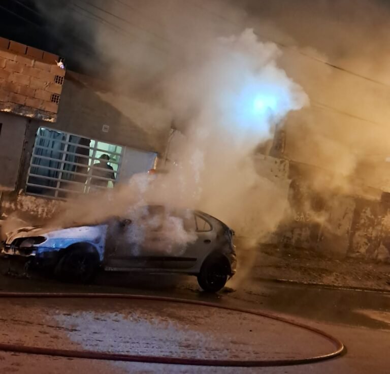 Voraz incendio destruyó un vehículo en el barrio San Cayetano