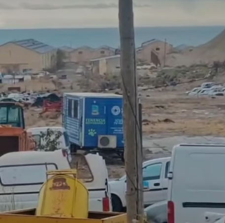 Grave: denuncian el abandono de un tráiler de castración en el corralón municipal