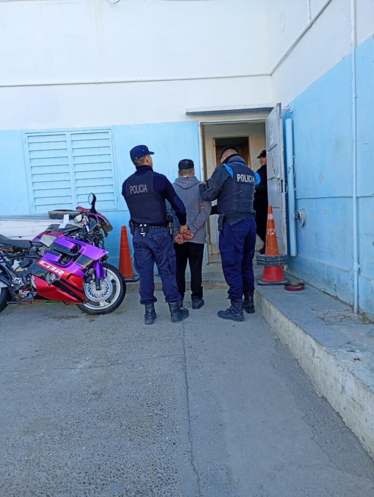 Cayó tras amenazar a una jubilada, saquear una casa y enfrentarse con la policía