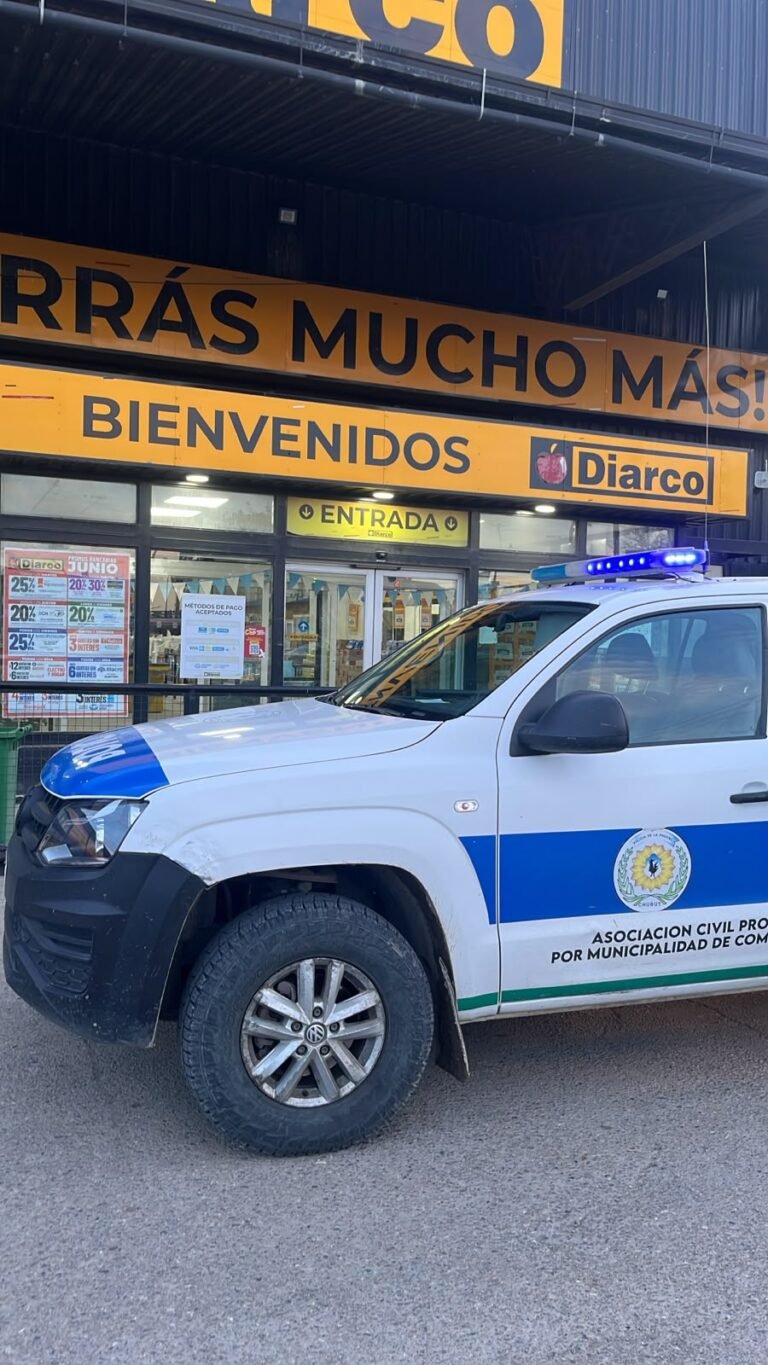 Intentó llevarse una campera y dos vodkas sin pagar: terminó detenido