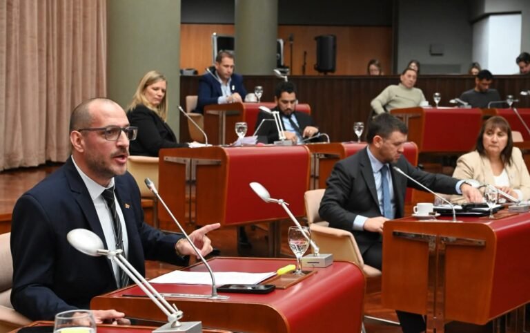 Con votos del oficialismo, Chubut extendió el alivio impositivo para incentivar inversiones