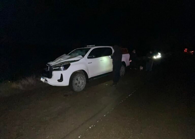 Viajaban en familia y terminaron embistiendo a un caballo suelto