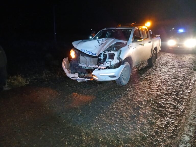Impactante choque: un vehículo utilitario embistió a un caballo sobre Ruta 26