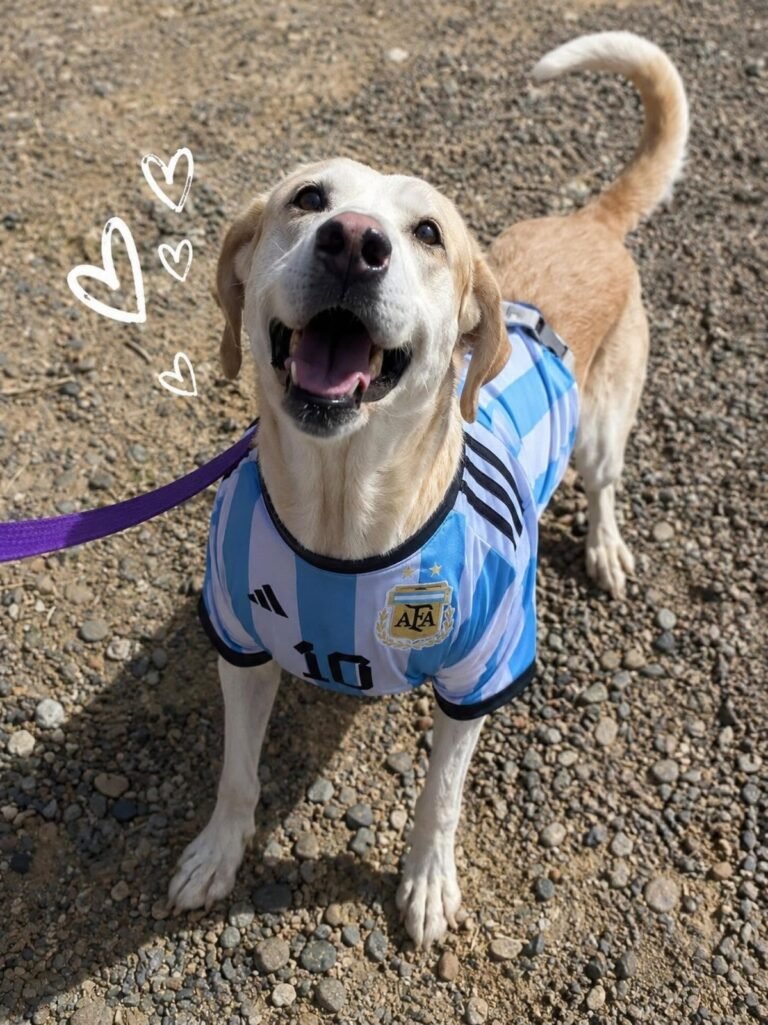 Con la camiseta puesta, Frida busca una familia para alentar a la Selección