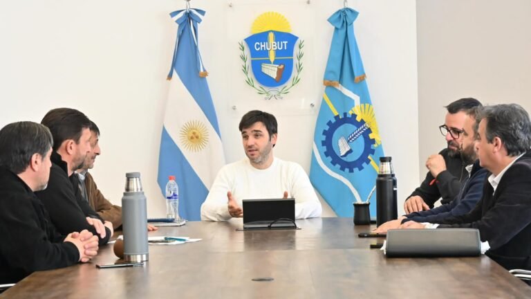 Torres ratificó la defensa de los recursos provinciales en la futura concesión de Futaleufú