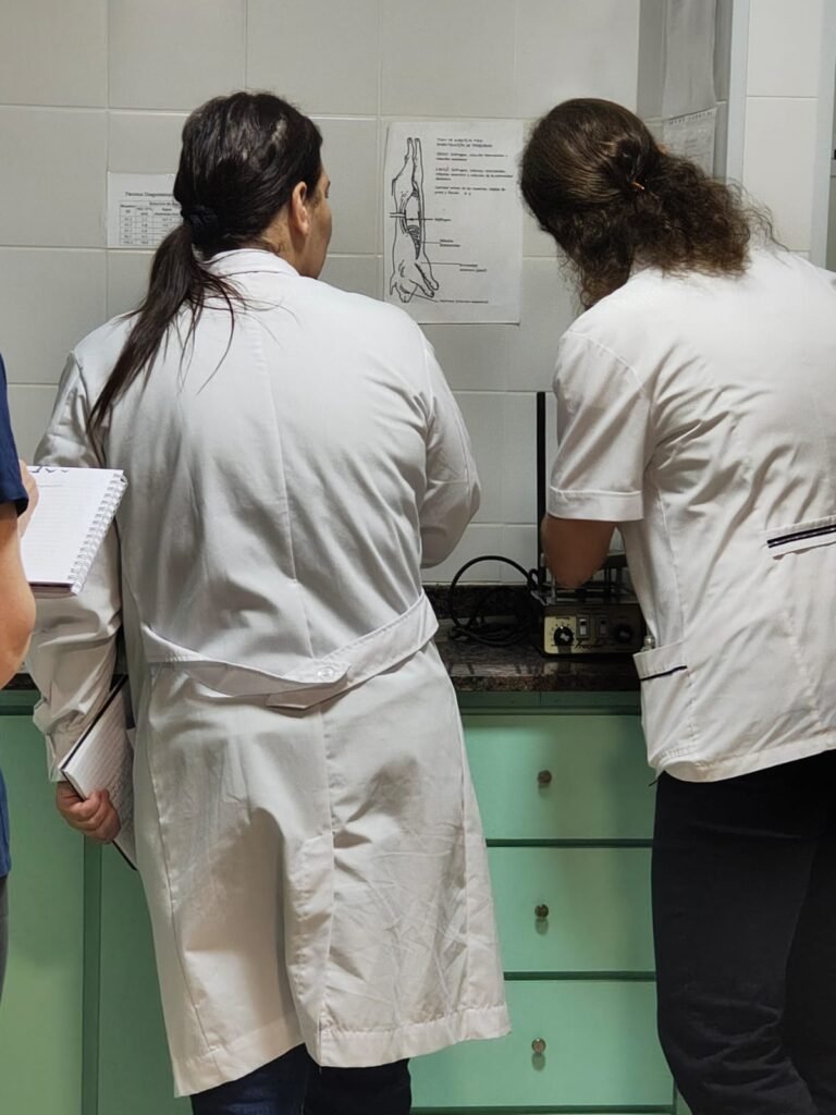 Triquinosis: advierten sobre los riesgos de consumir carne sin controles sanitarios