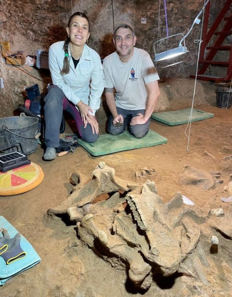 Una arqueóloga de Esquel participó del hallazgo de dos rinocerontes de 200.000 años en España