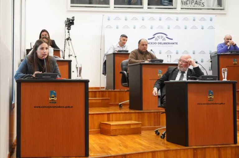 Transporte: el Concejo aprobó una nueva prórroga de 90 días para Diadema Argentina
