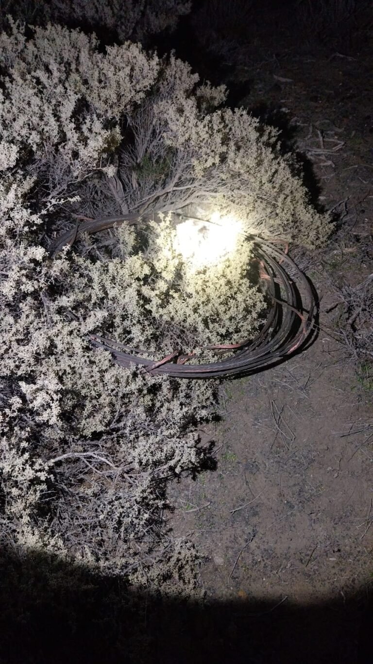 Atentado contra el tendido eléctrico: recuperan más de 30 metros de cable de cobre