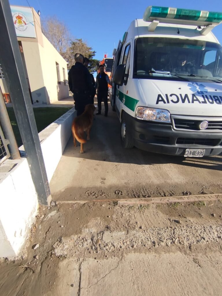 Una madre y su bebé de un año fueron hospitalizadas por inhalación de monóxido