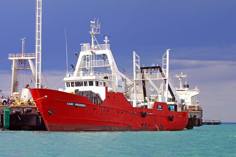 Trágico final: hallan sin vida al marinero que cayó al mar desde un pesquero