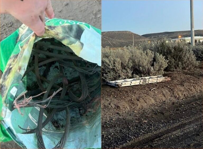 Tres jóvenes fueron detenidos tras cortar y robar cables de cobre en Bella Vista Sur