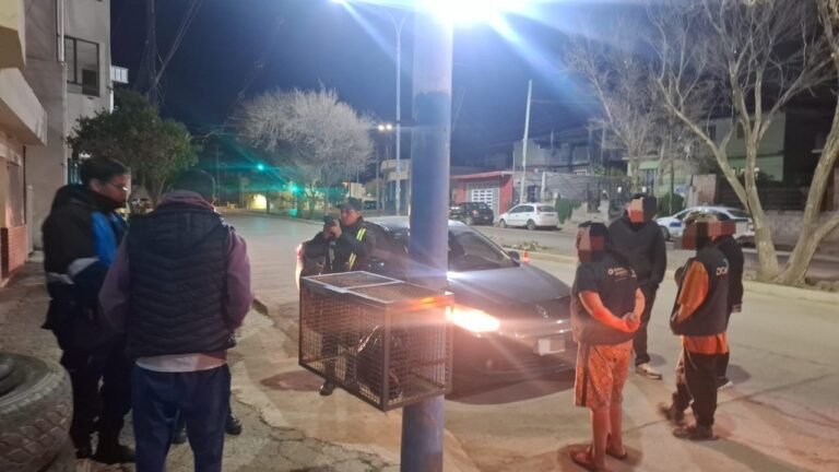 Lo frenaron en un control y descubrieron que circulaba con una licencia falsa