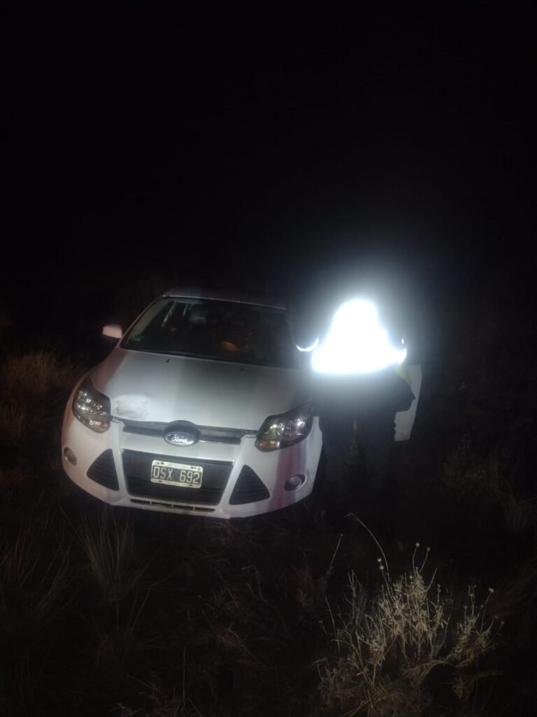 Ruta 39: intentó esquivar una liebre, perdió el control del auto y despistó