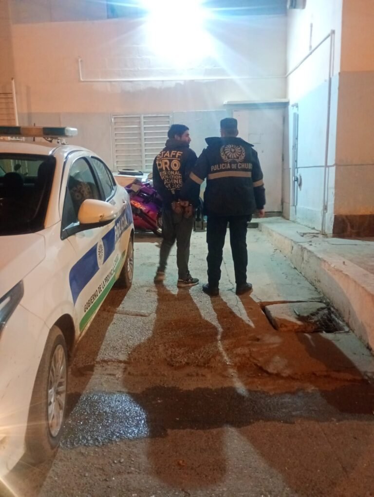 Quiso robar una rueda y el dueño lo redujo a golpes con un soporte de batería