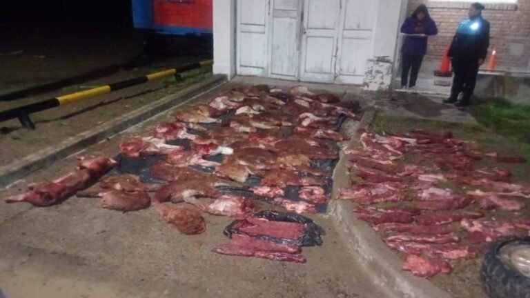 Ruta 3: interceptan una camioneta que transportaba carne de guanaco y un puma faenado
