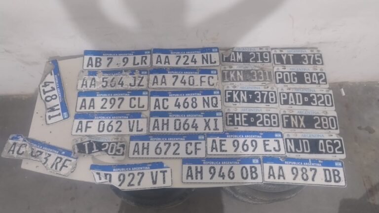 Tras la marejada, recuperaron 25 patentes y buscan a sus dueños