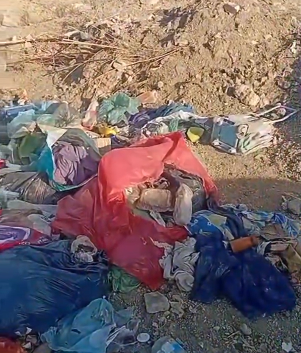 Limpiaban un microbasural y encontraron un perro muerto entre los residuos