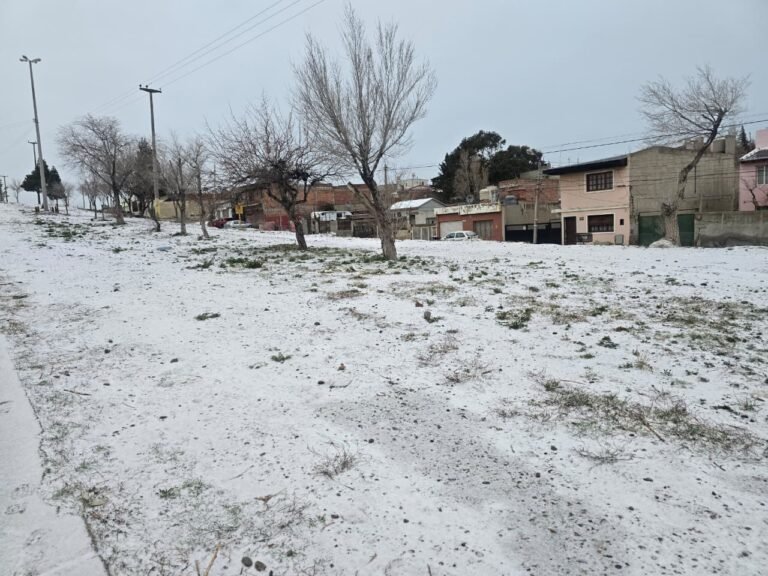 La nieve dejó varios heridos por caídas y a una conductora con lesiones graves