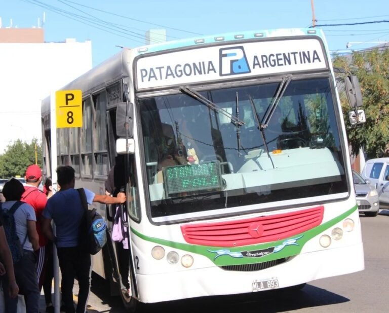 Advierten por recortes en los nuevos recorridos de colectivos: “El servicio debería ser mejor, no peor”