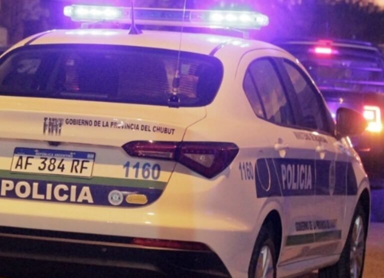 Insólito: paseaba con su novia en un auto policial y lo descubrieron en un control