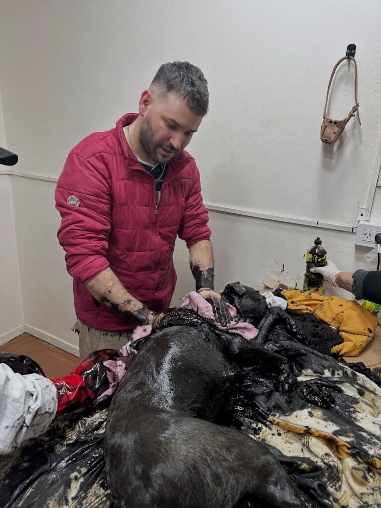 Tras el accidente del perro, relevaron un antiguo predio petrolero con graves irregularidades
